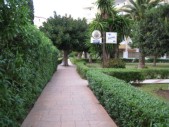 IMG_0530.JPG